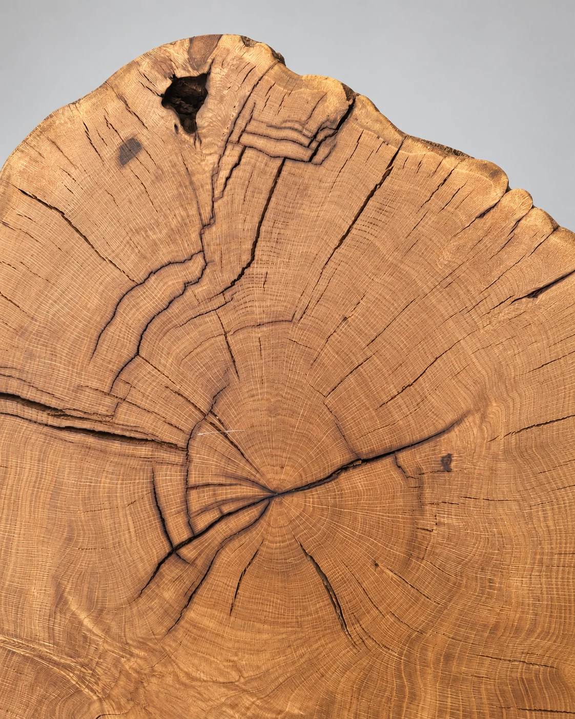 Naturstamm – 7. kép