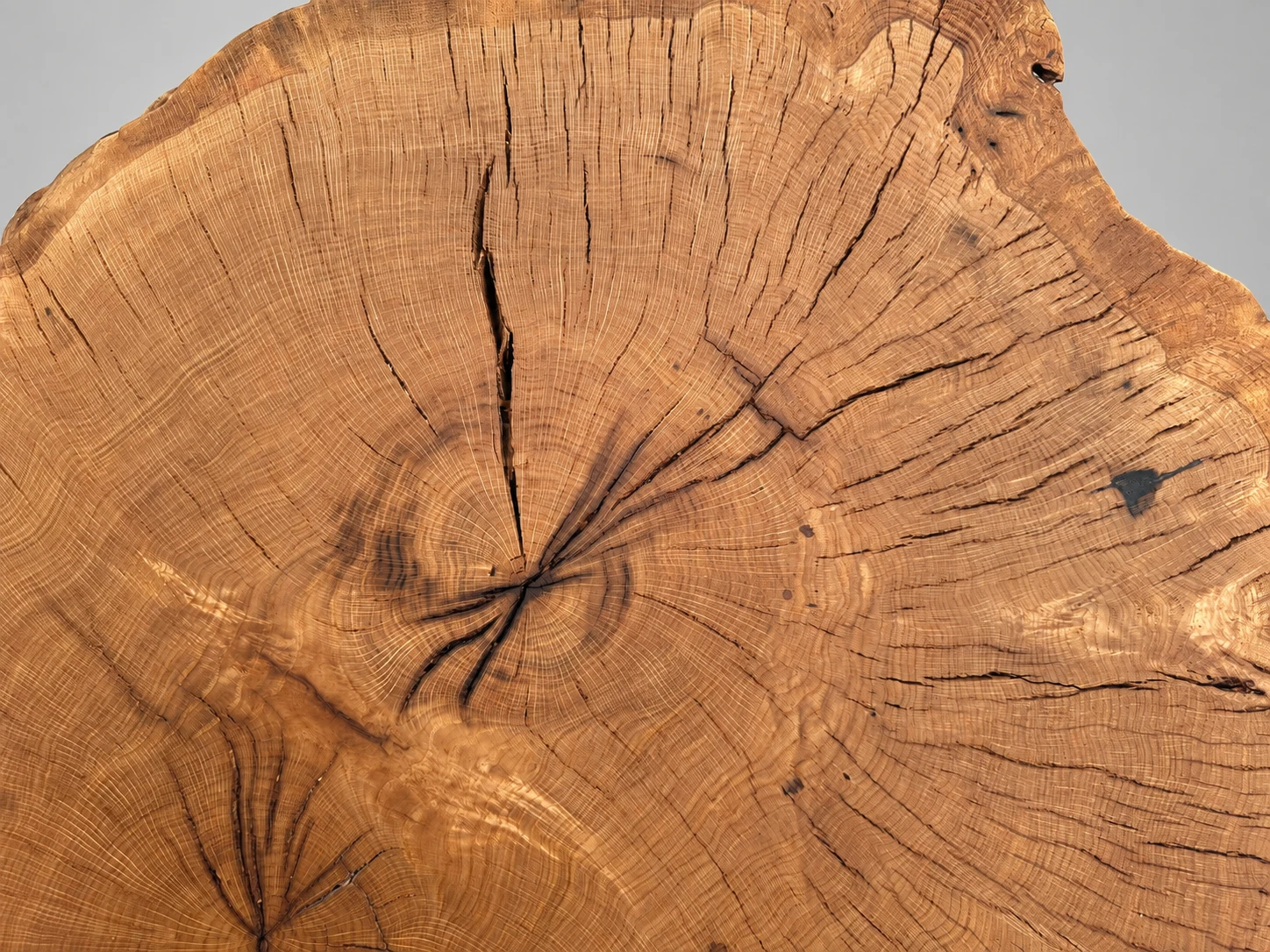 Waldstamm – 3. kép