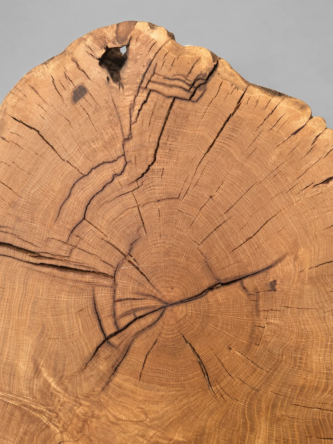 Waldstamm – 5. kép